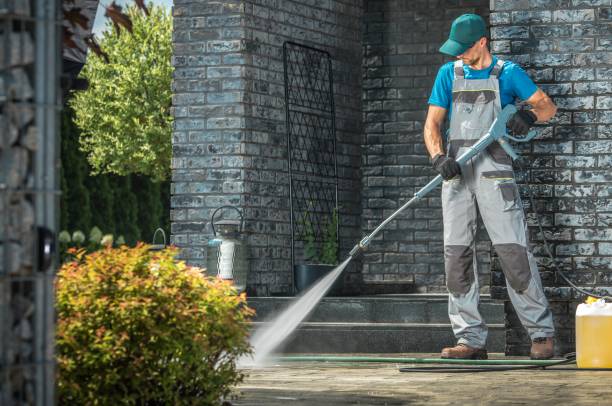 Best Animal Enclosure Cleaning  in Redington Beach, FL